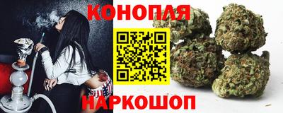 шишки Пугачёв