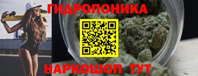 шишки Пугачёв