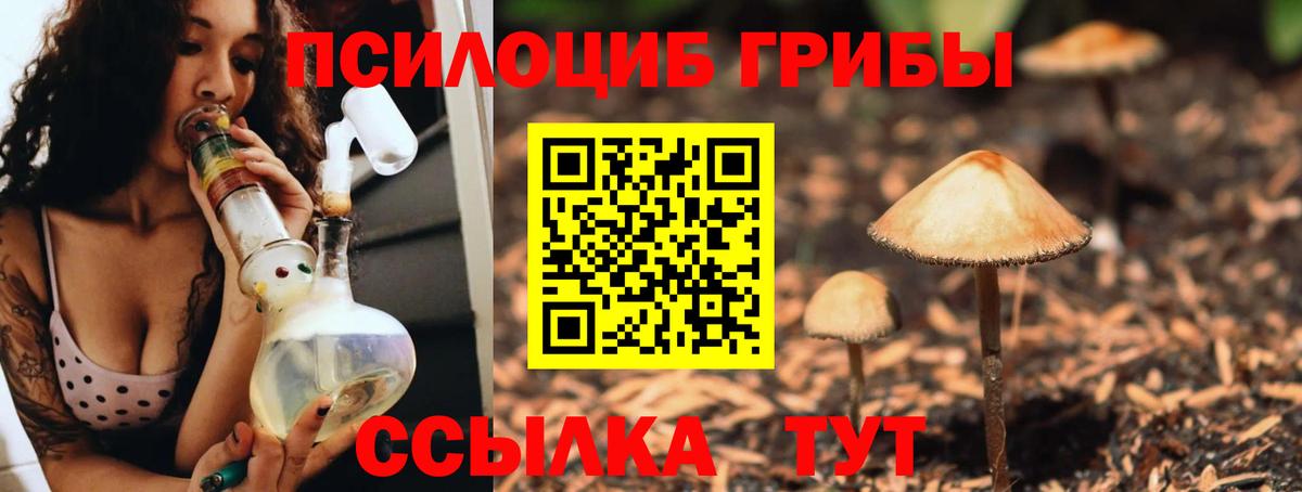 Псилоцибиновые грибы мухоморы Вязьма